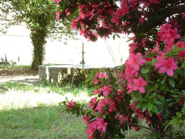 As Casinas Villa Ribadavia Kültér fotó